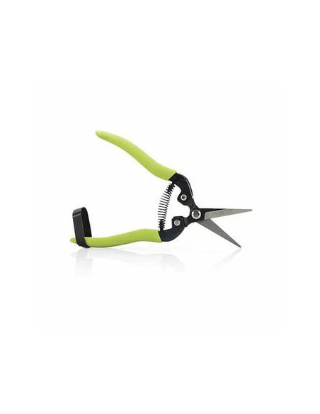 Sécateur De Vendange À Lame Droite 190Mm VITO - Nos catégories 