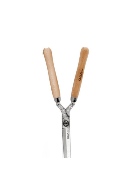 Cisaille Taille Haie Acier Nickelé 250Mm