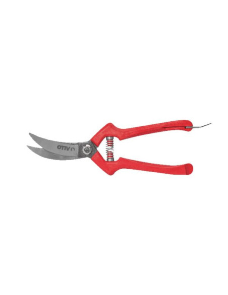 Sécateur De Récolte D'Ail