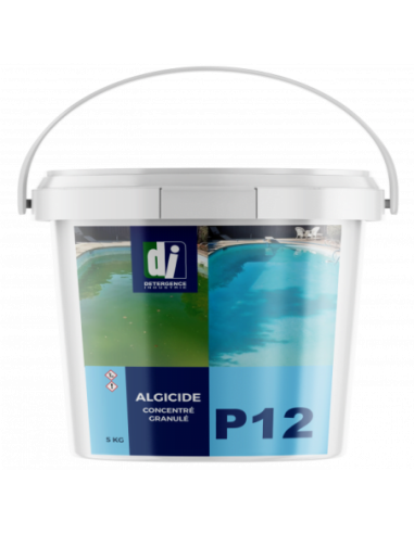 ALGICIDE CONCENTRÉ GRANULÉ  - ENTRETIEN DES PISCINES 