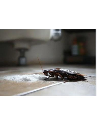 perme plus insecticide anti cafard