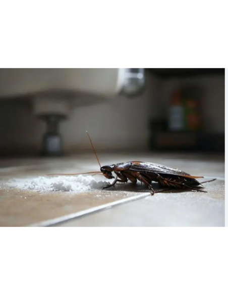 PERME PLUS  (Insecticide anti cafard)