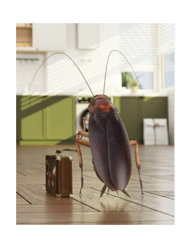 perme plus insecticide anti cafard