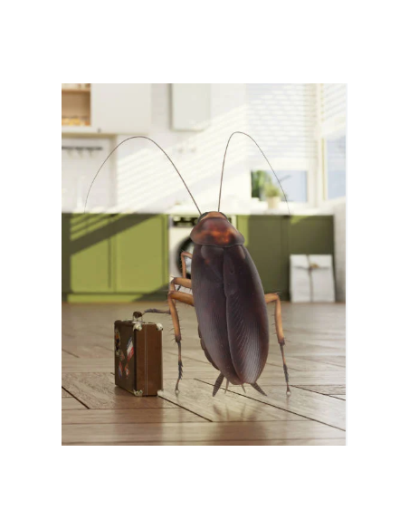 PERME PLUS  (Insecticide anti cafard)