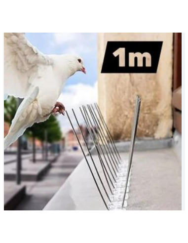 ANTI PIGEONS BARRIERE INOX 10 M