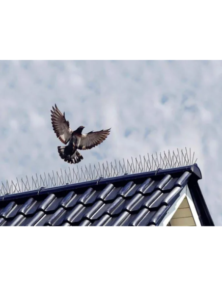 ANTI PIGEONS BARRIERE INOX 10 M