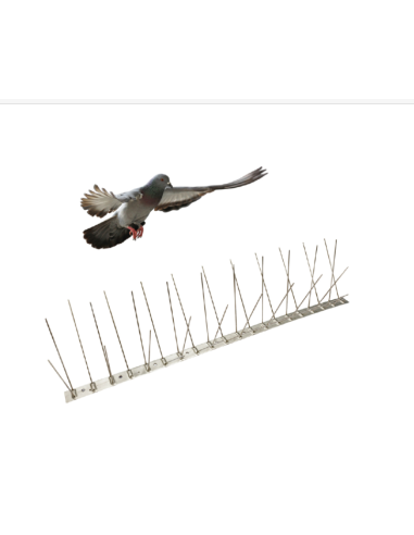 ANTI PIGEONS BARRIERE INOX 10 M