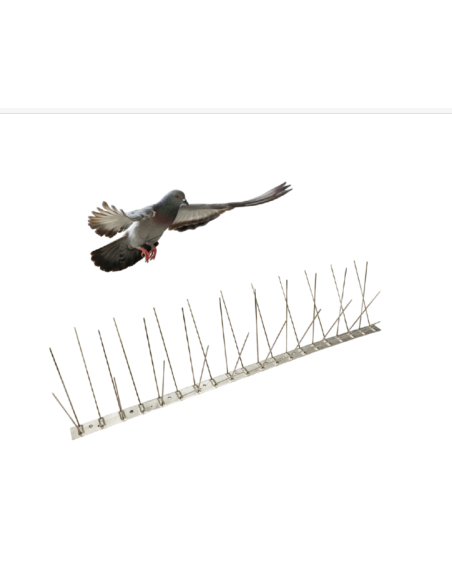 ANTI PIGEONS BARRIERE INOX 10 M