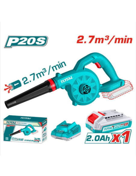 Souffleur sans fil 20V