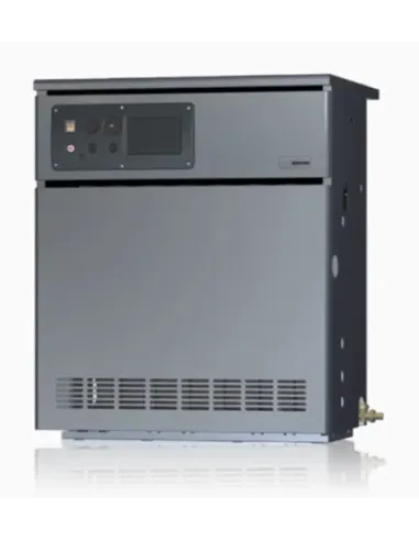 Chaudières au sol à gaz avec bruleur intégré-Batitherm